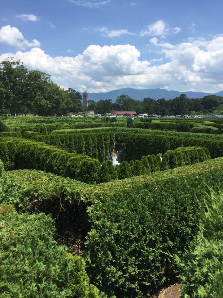 Garden Maze