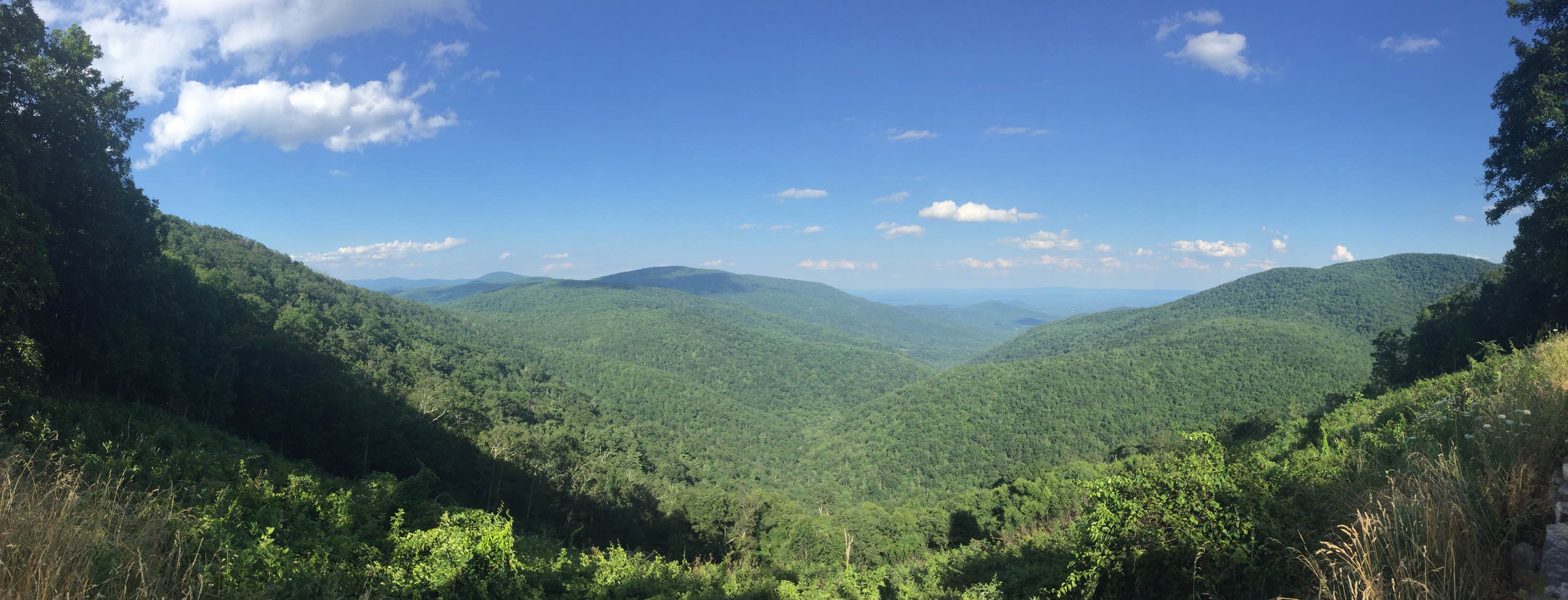 Shanandoah National Park